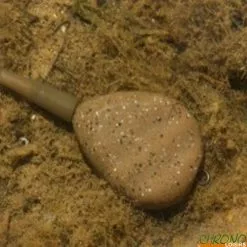 Plomb Korda Flatliner Pear In Line